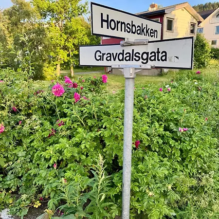 Lofoten Light Vestvagoy