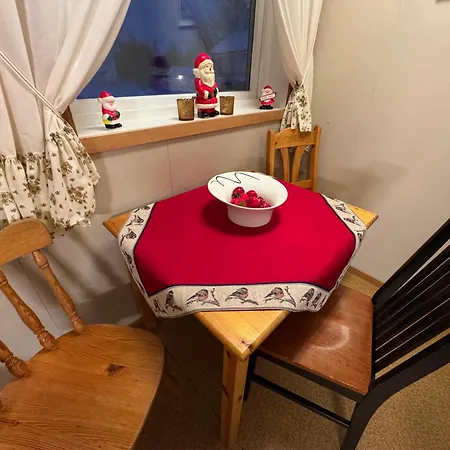 Lofoten Light Pansiyon *