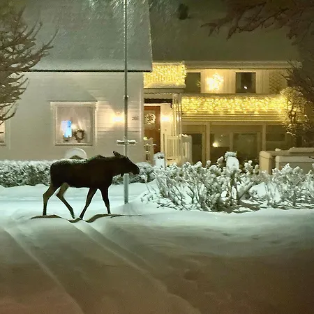 Lofoten Light * Vestvagoy