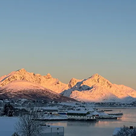 Lofoten Light Pansiyon *