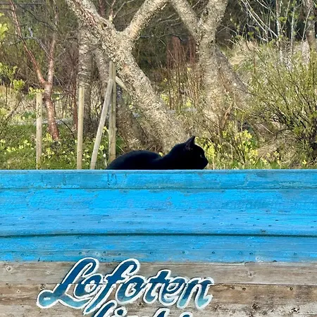 홈스테이 Lofoten Light - Private With Shared Facilities *