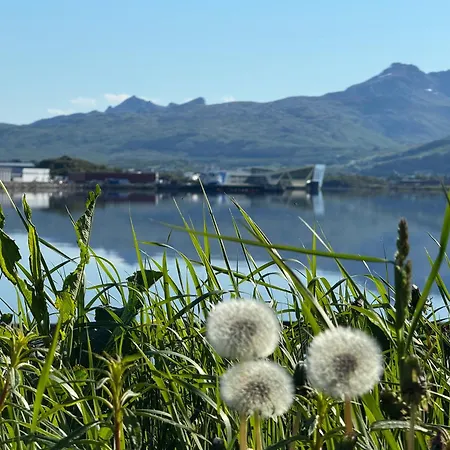 Lofoten Light - Private With Shared Facilities *
