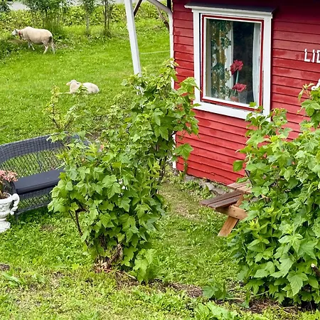Lofoten Light - Private With Shared Facilities Gravdal (Vestvagoy)